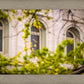 Salt Lake City Temple Windows Of Eternity