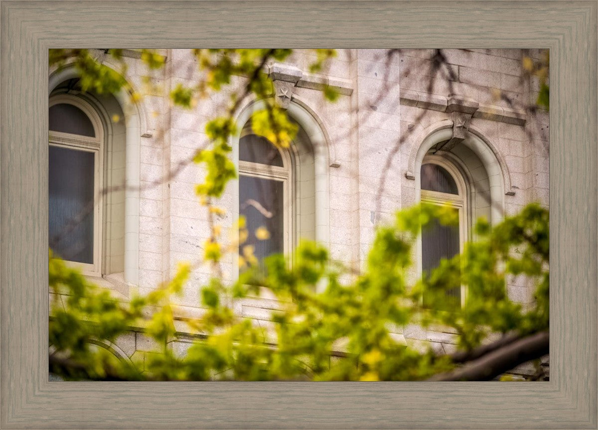 Salt Lake City Temple Windows Of Eternity