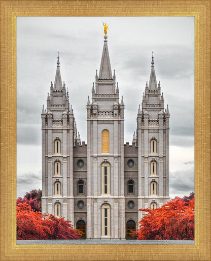 Salt Lake City Temple Autumn's Glory