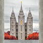 Salt Lake City Temple Autumn's Glory