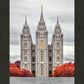 Salt Lake City Temple Autumn's Glory