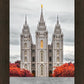 Salt Lake City Temple Autumn's Glory