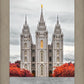 Salt Lake City Temple Autumn's Glory