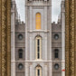 Salt Lake City Temple Autumn's Glory