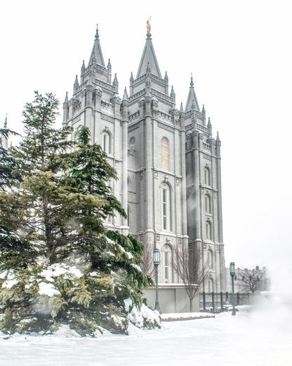 Salt Lake City Temple Evergreen Christmas Gallery Wrap
