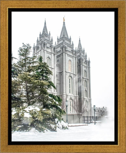 Salt Lake City Temple Evergreen Christmas Gallery Wrap