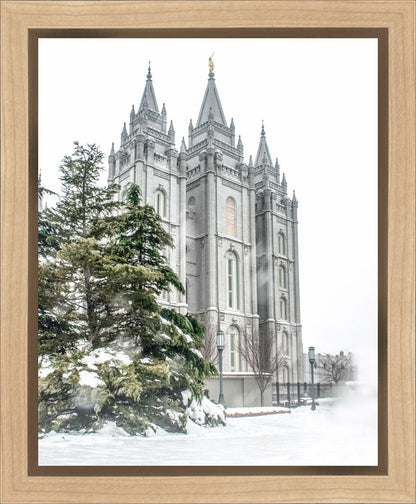 Salt Lake City Temple Evergreen Christmas Gallery Wrap