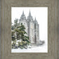 Salt Lake City Temple Evergreen Christmas