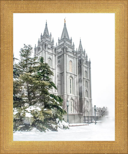 Salt Lake City Temple Evergreen Christmas