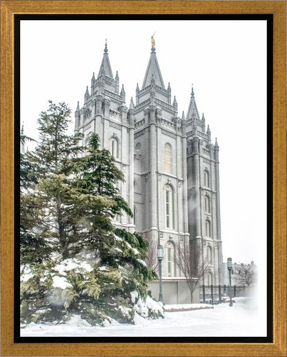 Salt Lake City Temple Evergreen Christmas Gallery Wrap