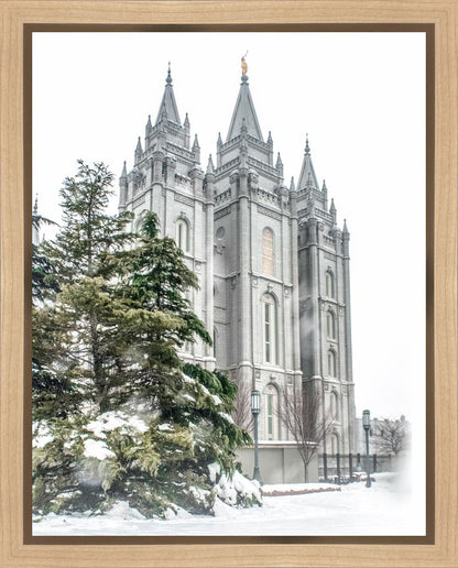 Salt Lake City Temple Evergreen Christmas Gallery Wrap