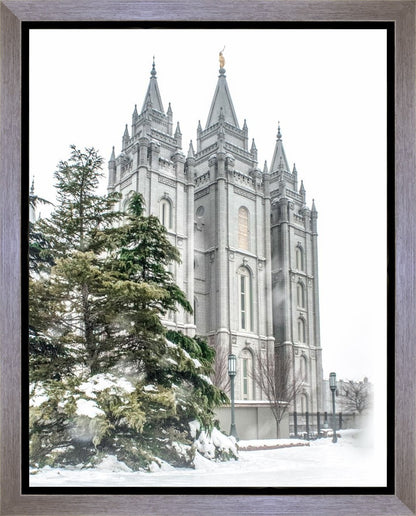 Salt Lake City Temple Evergreen Christmas Gallery Wrap