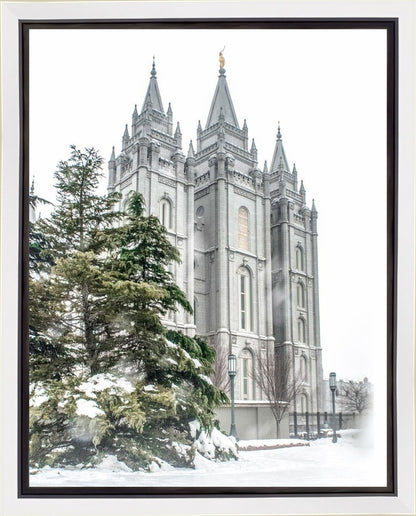 Salt Lake City Temple Evergreen Christmas Gallery Wrap