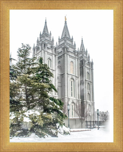 Salt Lake City Temple Evergreen Christmas