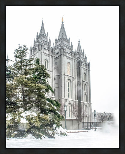 Salt Lake City Temple Evergreen Christmas Gallery Wrap