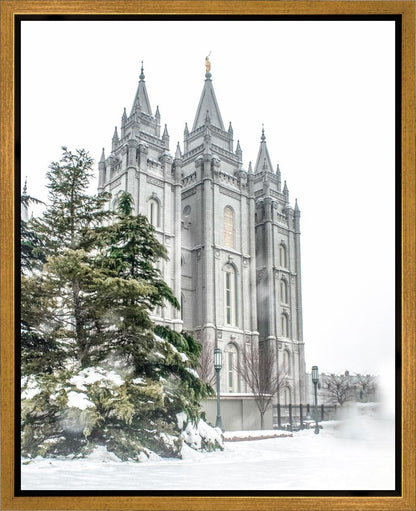 Salt Lake City Temple Evergreen Christmas Gallery Wrap