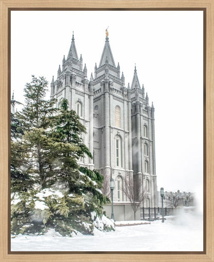 Salt Lake City Temple Evergreen Christmas Gallery Wrap