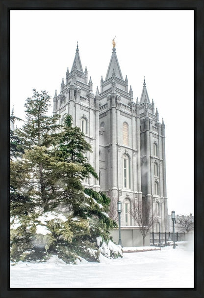 Salt Lake City Temple Evergreen Christmas Gallery Wrap
