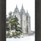 Salt Lake City Temple Evergreen Christmas