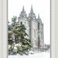 Salt Lake City Temple Evergreen Christmas