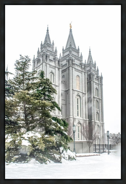 Salt Lake City Temple Evergreen Christmas Gallery Wrap