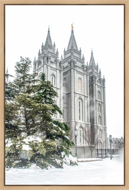 Salt Lake City Temple Evergreen Christmas Gallery Wrap