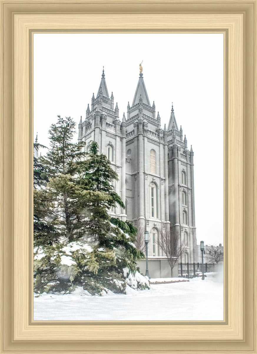 Salt Lake City Temple Evergreen Christmas