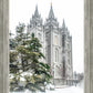 Salt Lake City Temple Evergreen Christmas