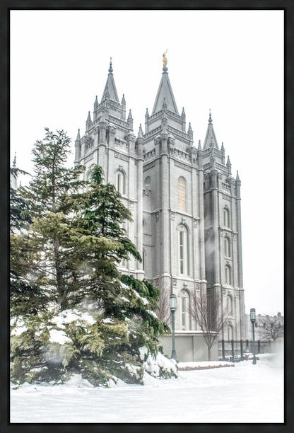 Salt Lake City Temple Evergreen Christmas Gallery Wrap