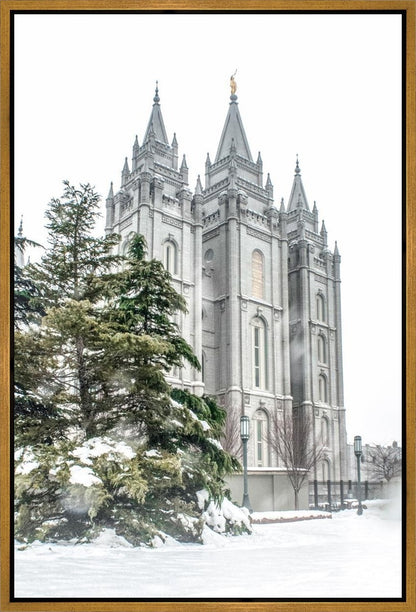 Salt Lake City Temple Evergreen Christmas Gallery Wrap