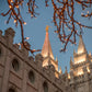 Salt Lake City Temple He Giveth Light
