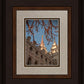 Salt Lake City Temple He Giveth Light