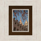 Salt Lake City Temple He Giveth Light