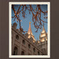 Salt Lake City Temple He Giveth Light