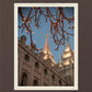 Salt Lake City Temple He Giveth Light