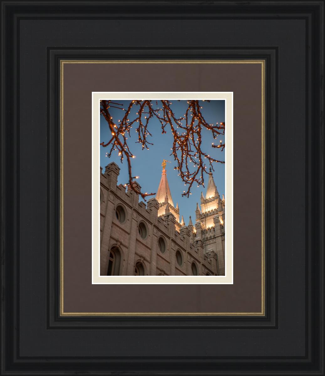 Salt Lake City Temple He Giveth Light