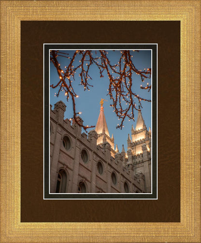 Salt Lake City Temple He Giveth Light