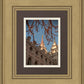 Salt Lake City Temple He Giveth Light