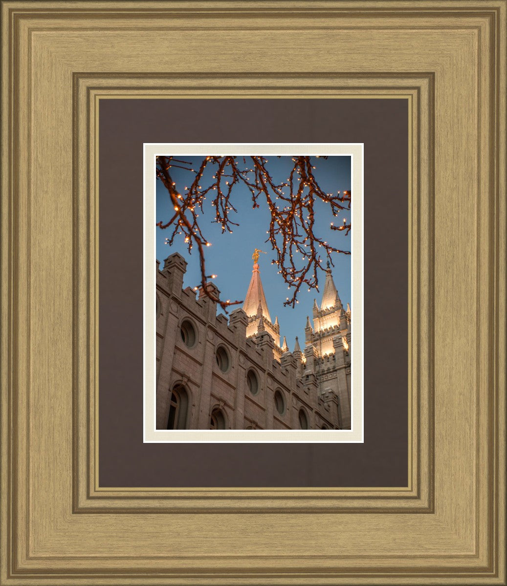 Salt Lake City Temple He Giveth Light