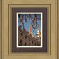 Salt Lake City Temple He Giveth Light