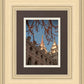 Salt Lake City Temple He Giveth Light