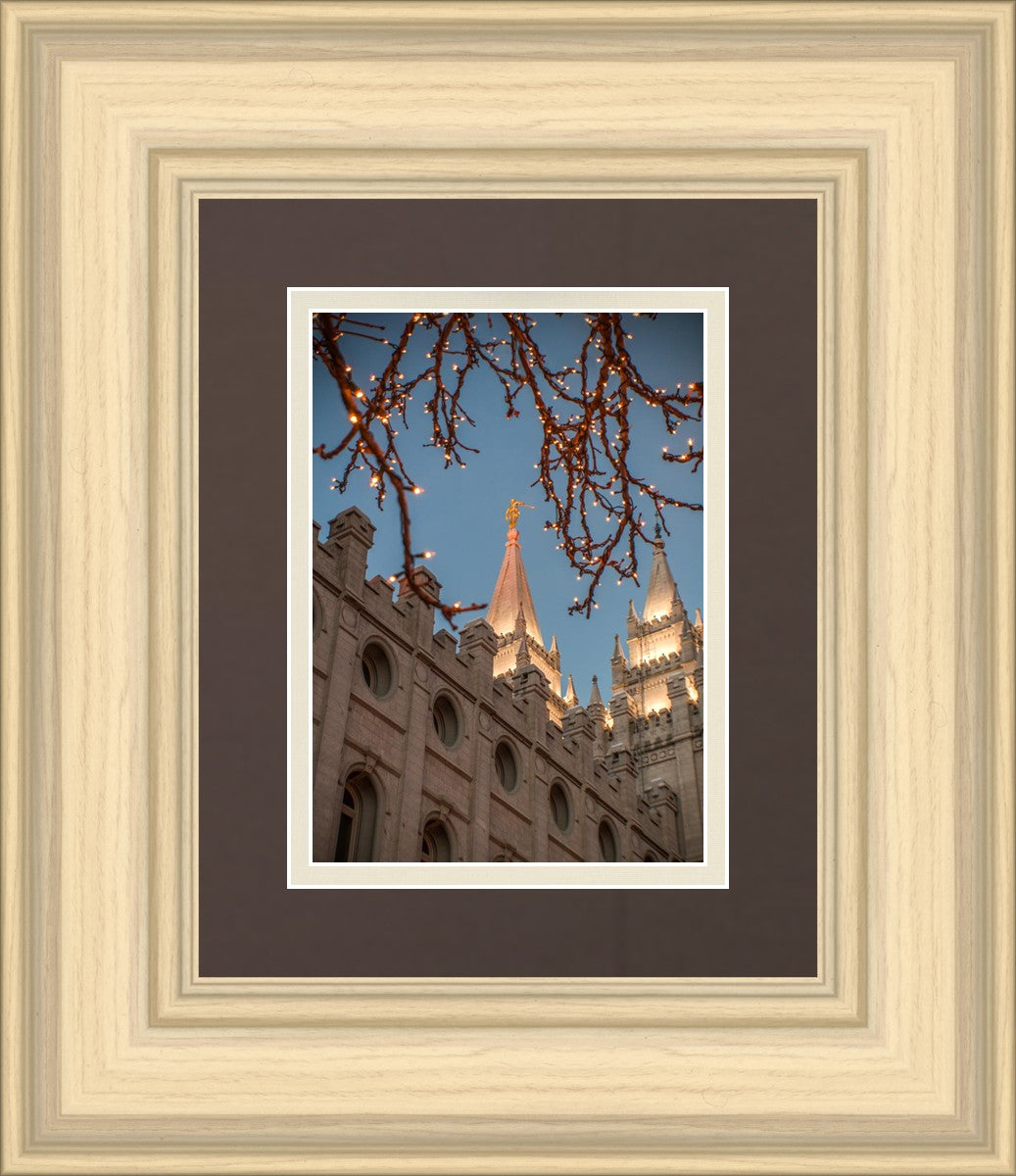Salt Lake City Temple He Giveth Light