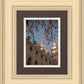 Salt Lake City Temple He Giveth Light