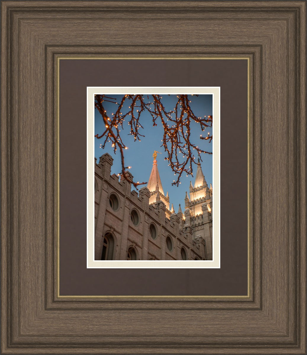 Salt Lake City Temple He Giveth Light