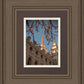Salt Lake City Temple He Giveth Light