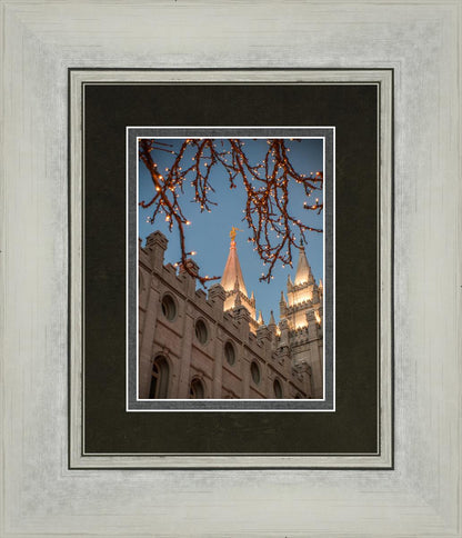 Salt Lake City Temple He Giveth Light