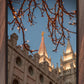 Salt Lake City Temple He Giveth Light