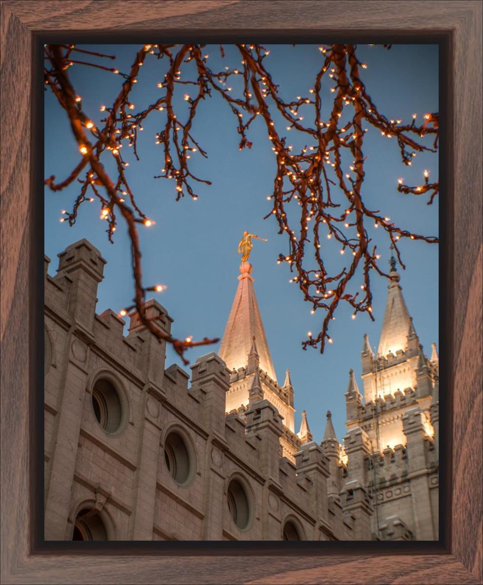 Salt Lake City Temple He Giveth Light