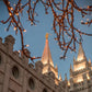 Salt Lake City Temple He Giveth Light