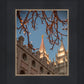 Salt Lake City Temple He Giveth Light